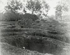 "Tuckahoe," Nehemiah Addison Baker house, Route 650, near Mankin, Goochland County, VA, 1936. Creator: Frances Benjamin Johnston