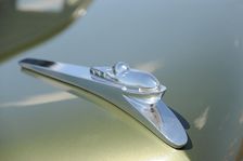 Tucker 1948. Artist: Simon Clay