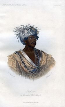 Tuch-ee, A Cherokee War Chief 1848.Artist: Harris