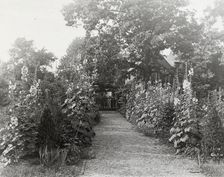 "Tudor Place," Armistead Peter, Jr., house, 1644 31st Street, NW, Washington, D.C., 1926. Creator: Frances Benjamin Johnston