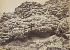 Tufa Rocks, Pyramid Lake, Nevada, 1867. Creator: Tim O'Sullivan
