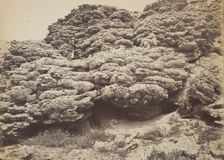 Tufa Rocks, Pyramid Lake, Nevada, 1867. Creator: Tim O'Sullivan