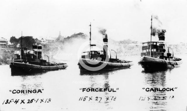 Tugboats: "Coringa", "Forceful", "Carlock", c1910s. Creator: Unknown.