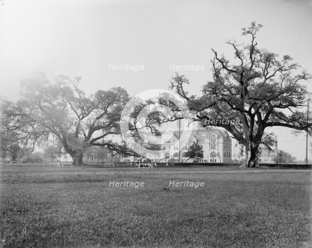 Tulane University, New Orleans, Louisiana, between 1900 and 1910. Creator: Unknown.