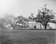 Tulane University, New Orleans, Louisiana, between 1900 and 1910. Creator: Unknown