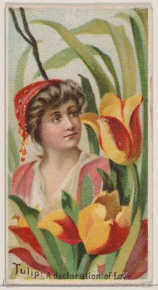 Tulip: A Declaration of Love, from the series Floral Beauties and Language of Flowers (N75..., 1892. Creator: Donaldson Brothers