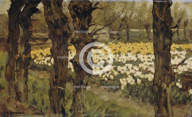 Tulip Fields, 1880-1937. Creator: Antonie Louis Koster.