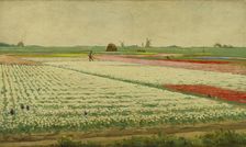 Tulip Fields, 1890-1922. Creator: Gerrit Willem Dijsselhof
