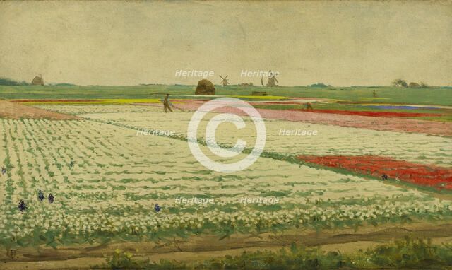 Tulip Fields, 1890-1922. Creator: Gerrit Willem Dijsselhof.
