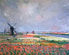 Tulip fields near Leiden 1886. Artist: Claude Monet