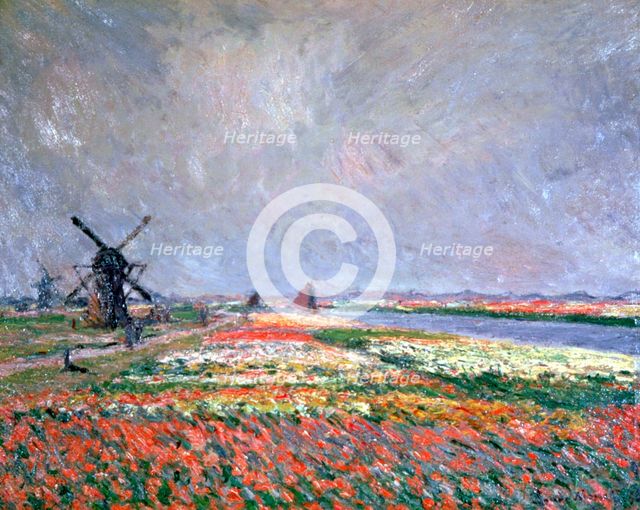 'Tulip fields near Leiden', 1886. Artist: Claude Monet