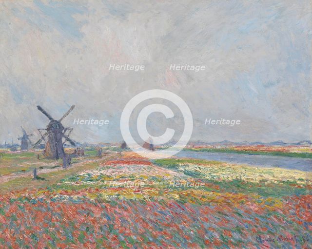 Tulip fields near The Hague.