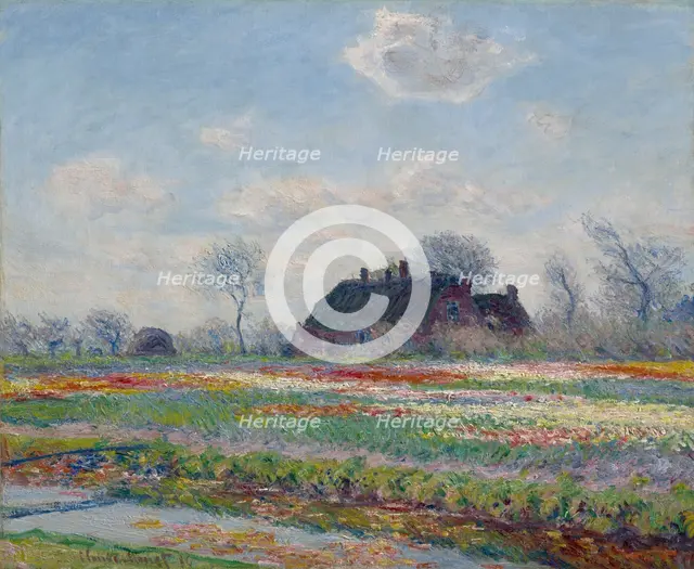Tulip Fields At Sassenheim, 1886. Creator: Claude Monet.