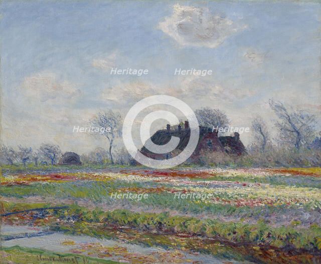 Tulip Fields At Sassenheim, 1886. Creator: Claude Monet.