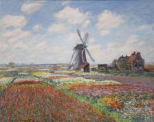 Tulip fields in Holland (Champs de tulipes en Hollande)