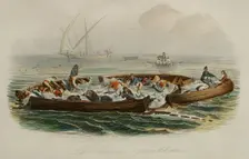 Tuna fishing, 1856. Creator: Edouard Travies