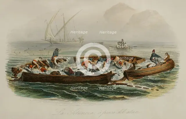Tuna fishing, 1856. Creator: Edouard Travies.