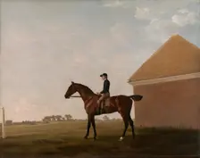Turf, with Jockey up, at Newmarket, ca. 1766. Creator: George Stubbs