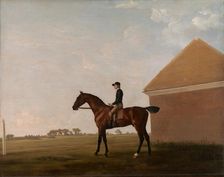 Turf, with Jockey up, at Newmarket, ca. 1766. Creator: George Stubbs