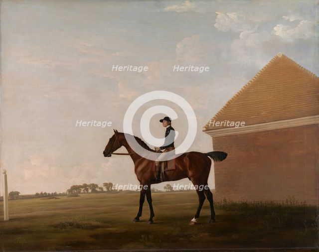 Turf, with Jockey up, at Newmarket, ca. 1766. Creator: George Stubbs.