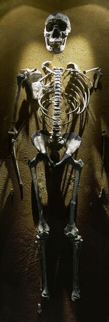 Turkana Boy, Homo erectus, Fossil KNM-WT 15000, 1.5 -1.6 millions years old, Kenya, Africa, 2001. Creator: LTL