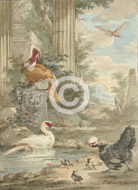 Turkey and Other Birds near Classical Ruins in a Park, c.1756-c.1761. Creator: Aert Schouman.