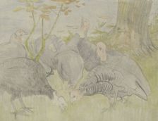 Turkeys in a garden, 1873-1917. Creator: Theo van Hoytema