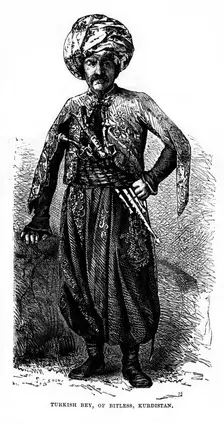 Turkish Bey, of Bitless, Kurdistan 19th century