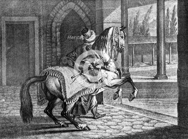 Turkish Sultan's Arabian saddle horse, 1722, (1938). Artist: Unknown
