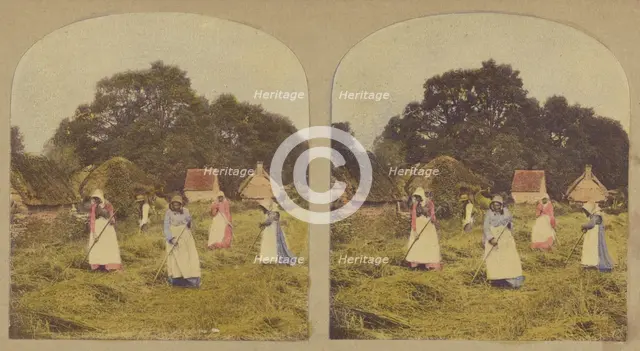Turning Barley., about 1855. Creator: Thomas Richard Williams.