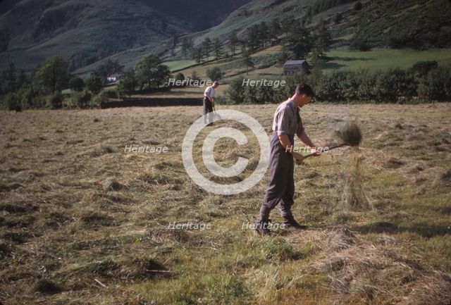Turning hay by hand, farmer in Longdale Valley,  Lake District, c1960. Artist: CM Dixon.