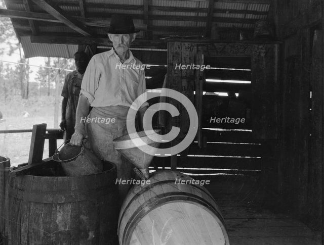 Turpentine worker, Georgia, 1937. Creator: Dorothea Lange.