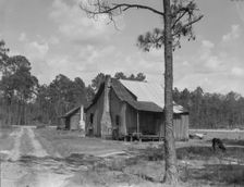 Turpentine worker's cabins, Valdosta, Georgia, 1937. Creator: Dorothea Lange