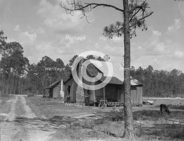 Turpentine worker's cabins, Valdosta, Georgia, 1937. Creator: Dorothea Lange.