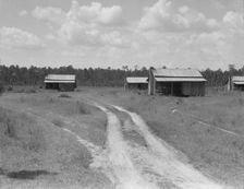 Turpentine worker's cabins, Valdosta, Georgia, 1937. Creator: Dorothea Lange