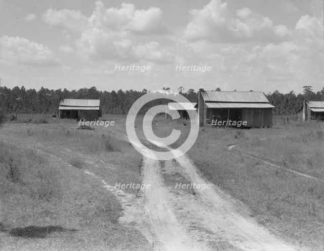 Turpentine worker's cabins, Valdosta, Georgia, 1937. Creator: Dorothea Lange.