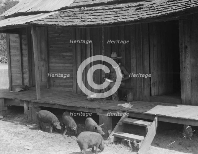 Turpentine worker's home, Georgia, 1937. Creator: Dorothea Lange.
