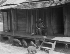 Turpentine worker's home, Georgia, 1937. Creator: Dorothea Lange