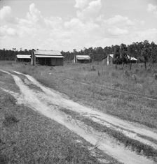 Turpentine worker's cabins, Valdosta, Georgia, 1937. Creator: Dorothea Lange