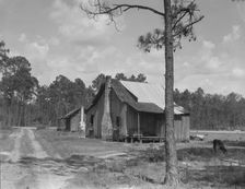 Turpentine worker's cabins, Valdosta, Georgia, 1937. Creator: Dorothea Lange