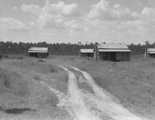Turpentine worker's cabins, Valdosta, Georgia, 1937. Creator: Dorothea Lange