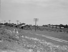 Turpentine camp, Godwinsville, Georgia, 1937. Creator: Dorothea Lange