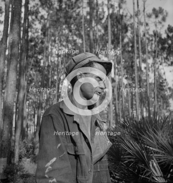 Turpentine "chipper" near Homerville, Georgia, 1937. Creator: Dorothea Lange.