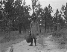 Turpentine dipper near Waycross, Georgia, 1937. Creator: Dorothea Lange