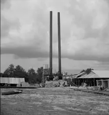 Turpentine plant near Marianna, Florida, 1937. Creator: Dorothea Lange