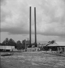 Turpentine plant near Marianna, Florida, 1937. Creator: Dorothea Lange