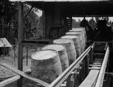 Turpentine still, Georgia, 1937. Creator: Dorothea Lange