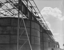 Turpentine still, Georgia, 1937. Creator: Dorothea Lange