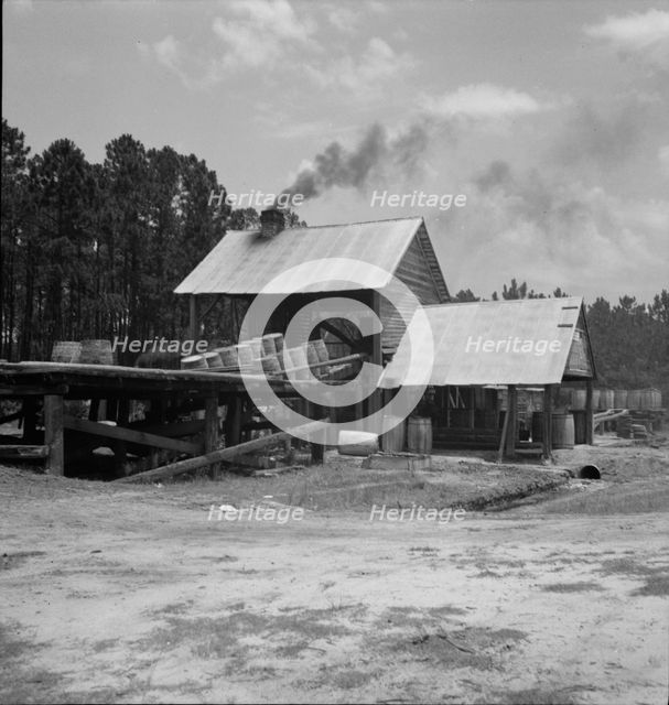 Turpentine still in the Piney Woods near Valdosta, Georgia, 1937. Creator: Dorothea Lange.