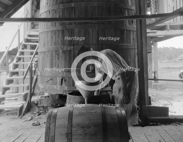 Turpentine "stiller" near Valdosta, Georgia, 1937. Creator: Dorothea Lange.